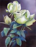 Roses Blanches - Pastel