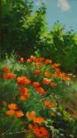 Coquelicots - Huile