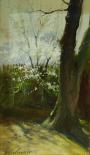 Cerisiers en fleurs - Huile