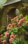 Hortensias roses - Huile