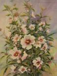 Hibiscus - Aquarelle