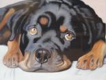 Le Chien - Pastel